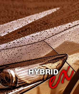 HYBRIDex